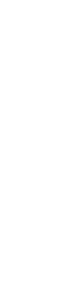 服部 足祭り